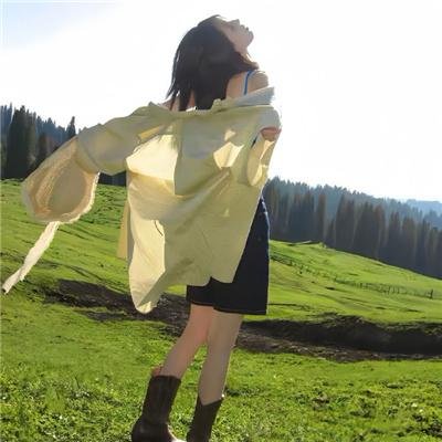 四爷，夫人又和人打起来了