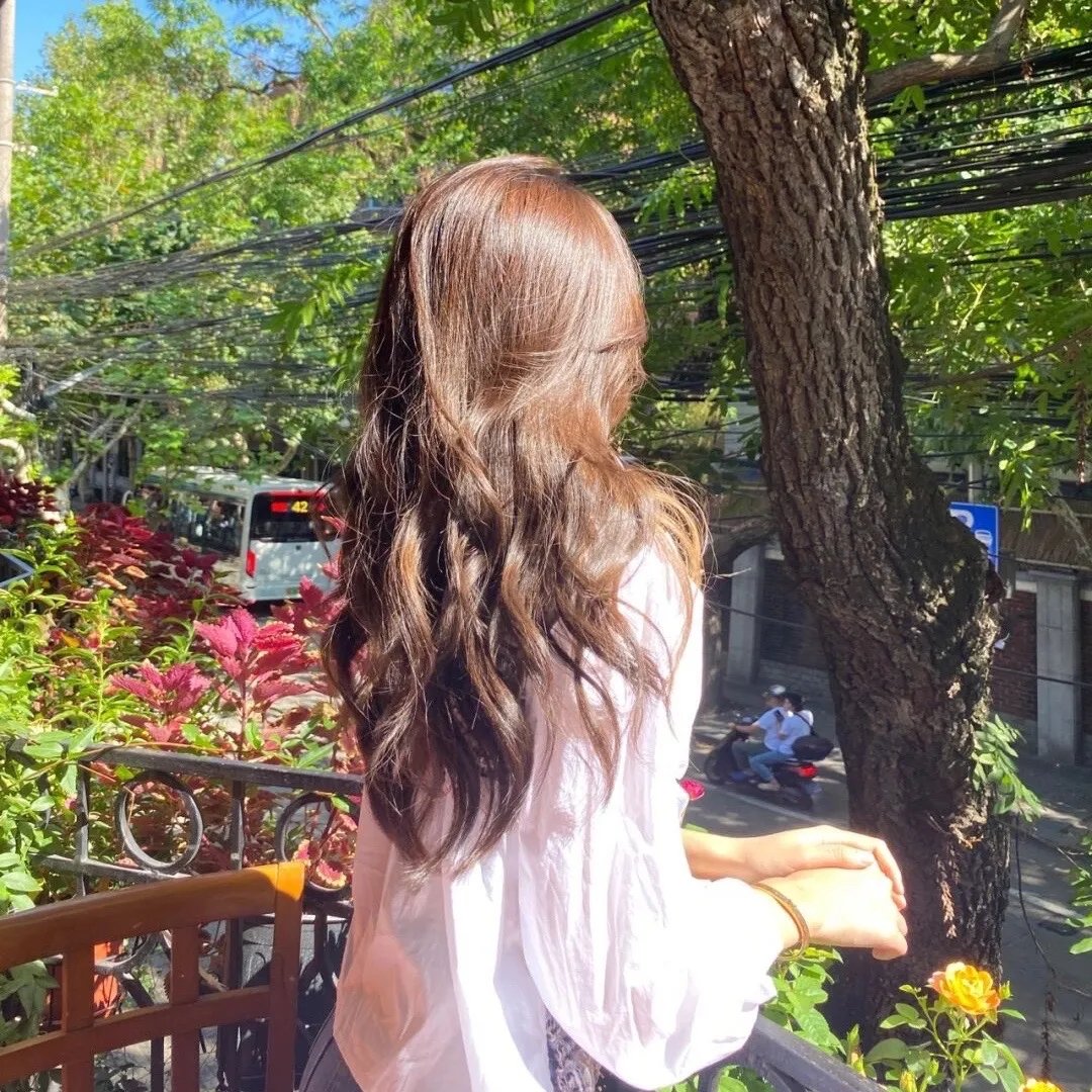 猫王归来：埃尔维斯·普雷斯利的重新崛起